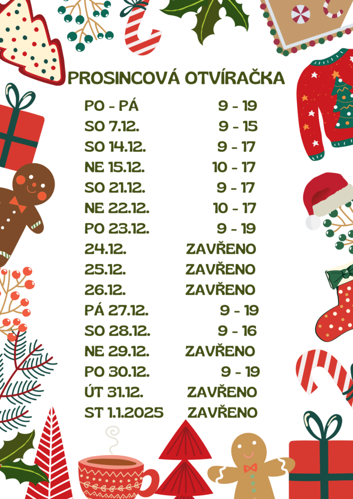 Red Simple Christmas Border A4